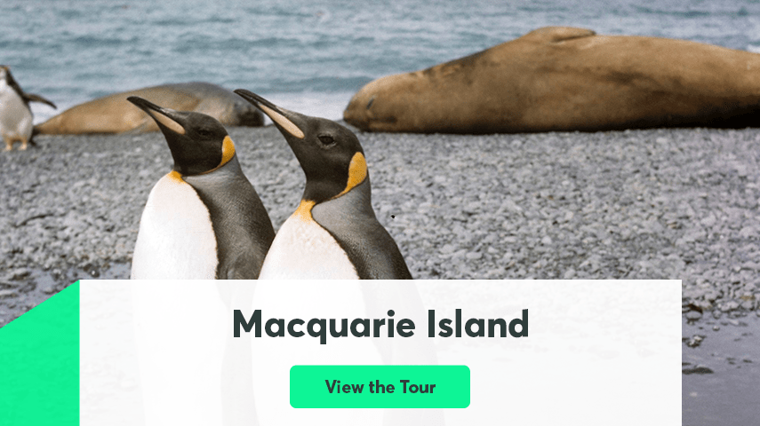 Macquarie Island