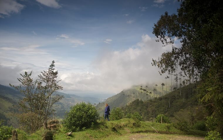 A person hiking on a cloudy mountain