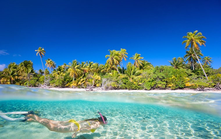 A women scuba diving under clear water on an island beach