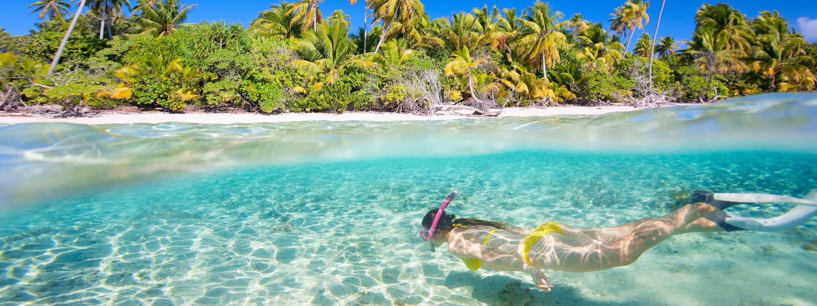 A womansnorkelling in crystal 				clear water with palm trees and a white sand beach visible in the background
