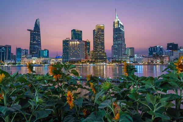 Sunflower Garden at night with Ho Chi Minh City Skyline Reflections 